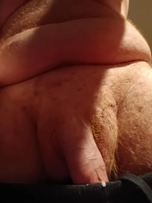 Another pic for your day