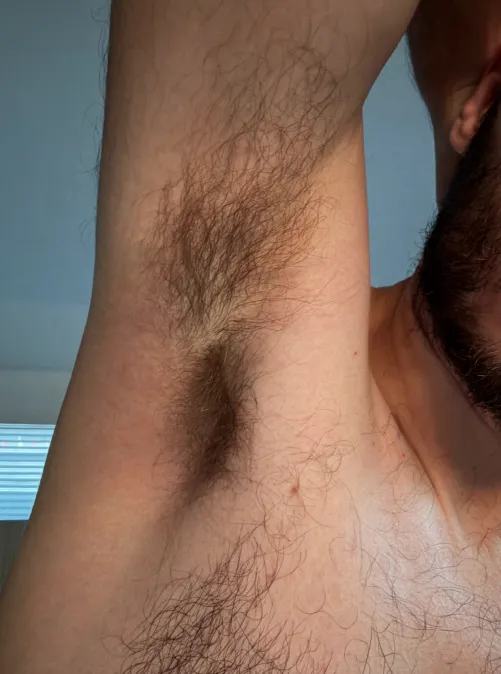 Any other hairy pitted guys like smelling big brother's pits?