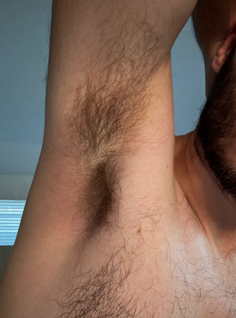 Any other hairy pitted guys like smelling big brother's pits?