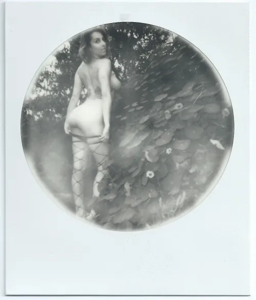 Comet on circular fram Polaroid film