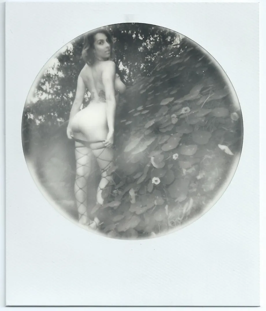 Comet on circular fram Polaroid film