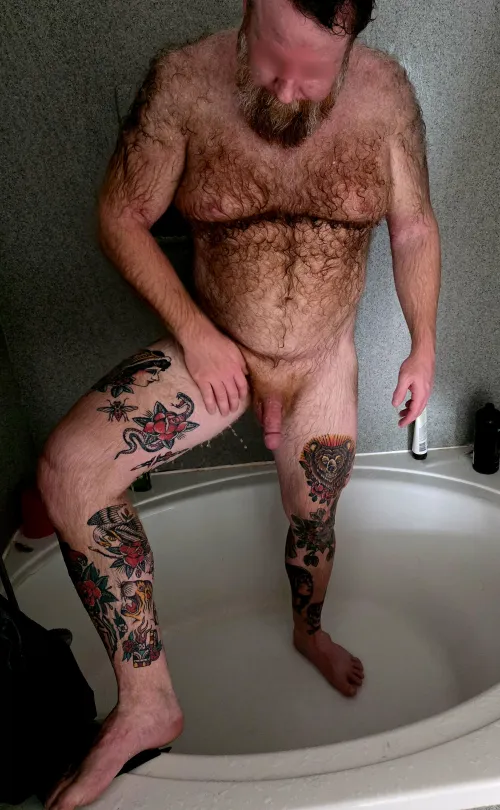 I hope you choose the bear!