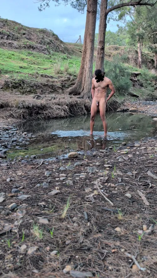 In the woods of Australia