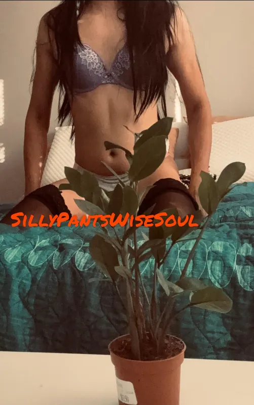 Let’s hope the plant on the Ottoman can withstand some turbulence 😉