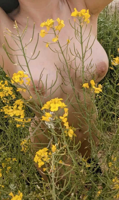 Sommerliche Grüße zum Start ins Wochenende 😇