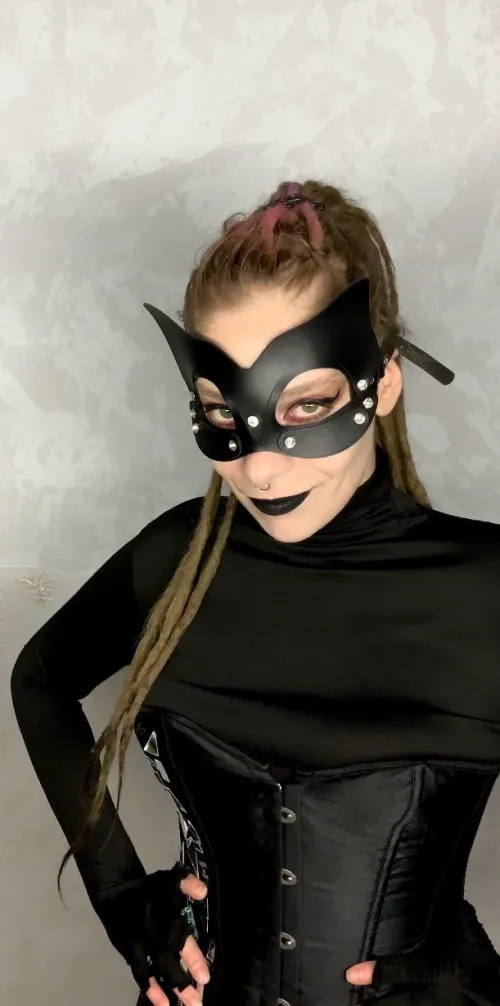 Well…Meow-meow, dogs