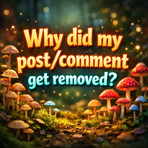 Why did my post/comment get removed?