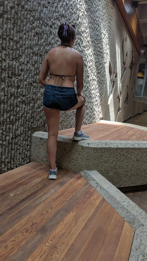 Wife and I went on a guided tour in the Capitol building