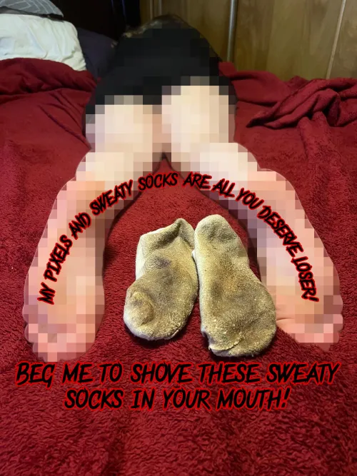 Enjoy my gross socks loser.