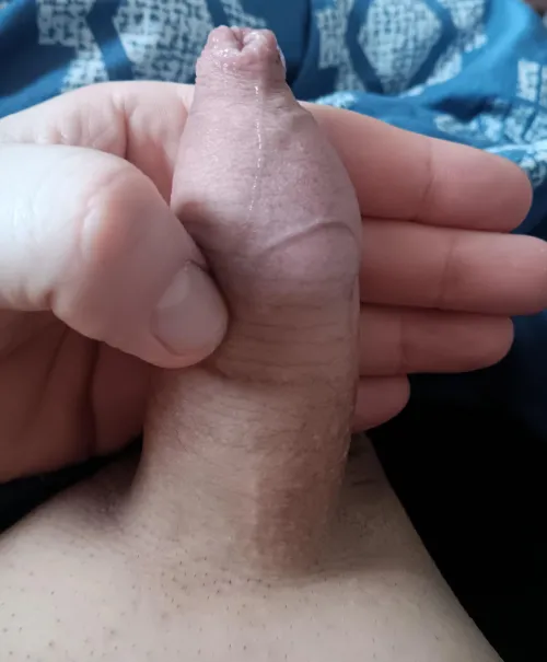 Shaved and hard