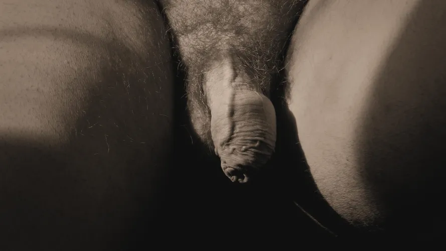 Soft sidelong sunlight