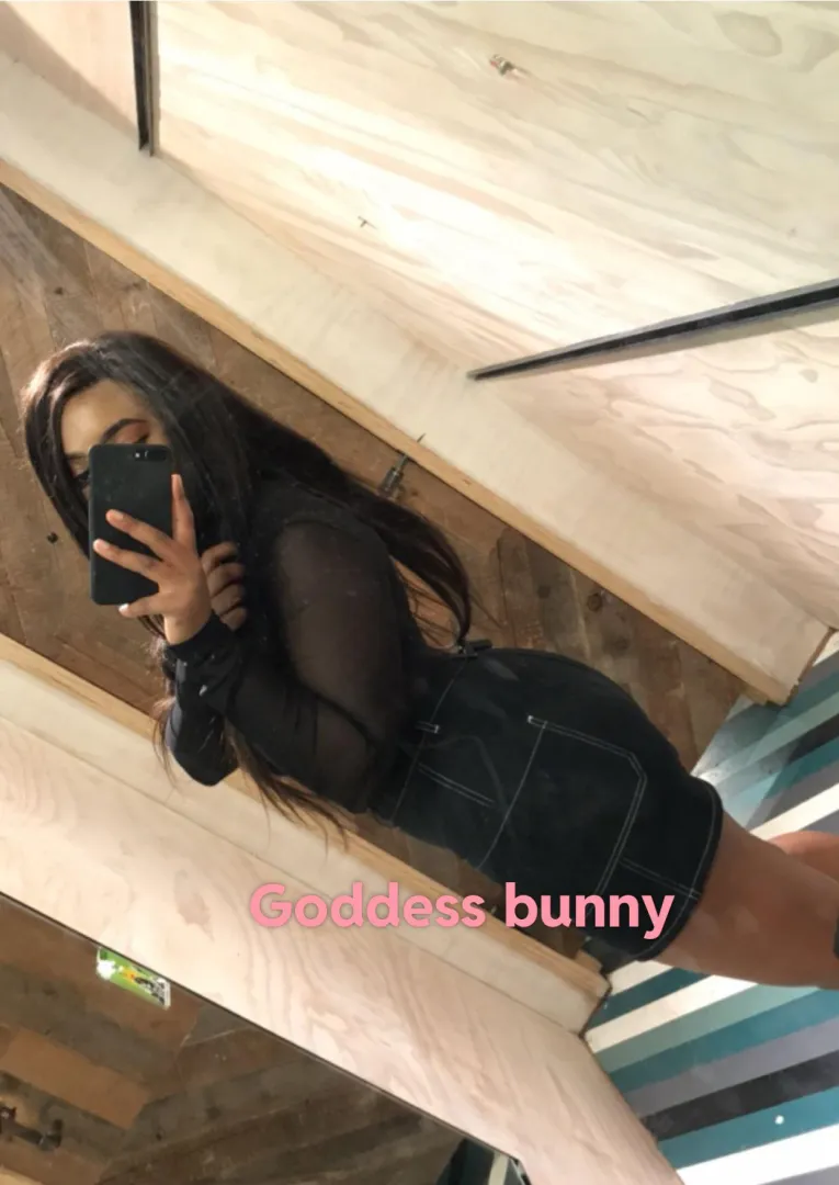 Taking applications for a new seat because my old one is broke 