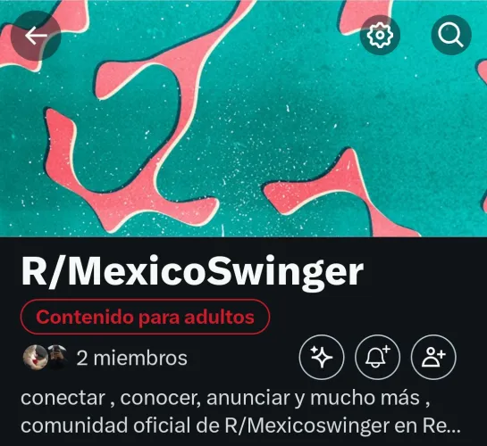 Ahora r/MexicoSwinger también está en X