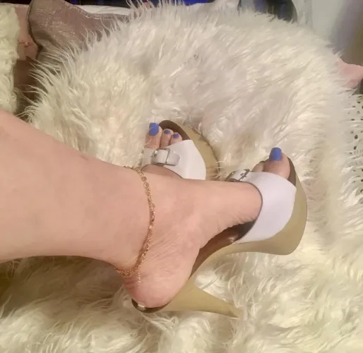 Aunt’s High Arches