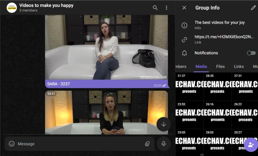 BEST TELEGRAM GROUP WITH CZECHCASTING FULL VIDEOS AND GOOD PRICE