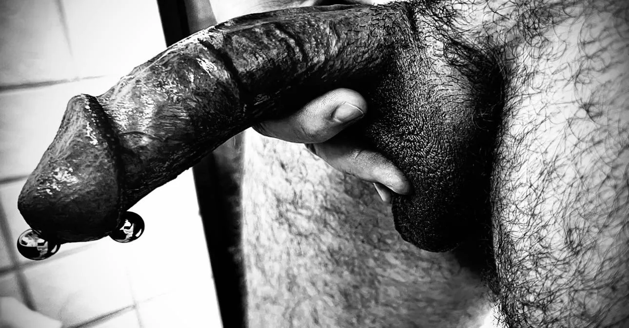 Closeup BW. PA piercing.