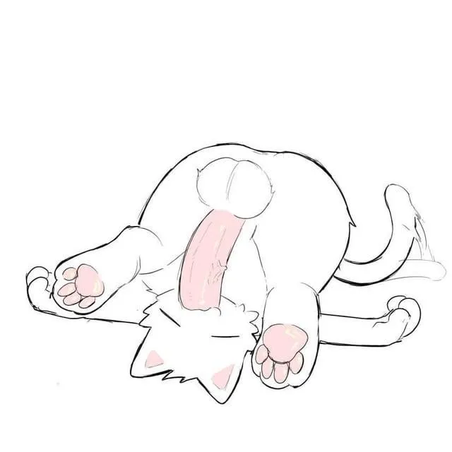 cute bunny having fun