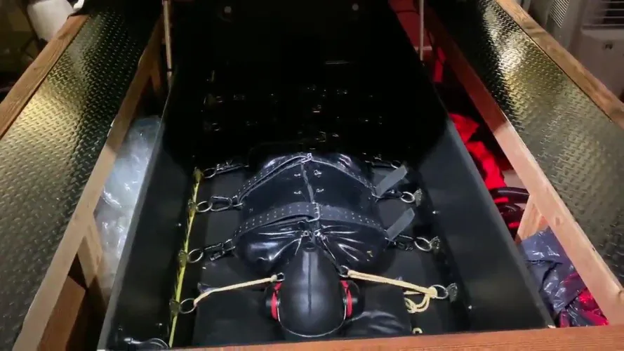 Ear plugs+noise canceling headphones+blindfold+sleepsack+hood+gag+gasmask, extra belts and rope+isolation box=the perfect birthday I need this