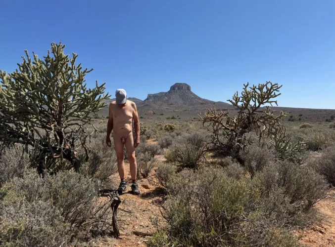 Exploring the desert ☀️ Mustang Point