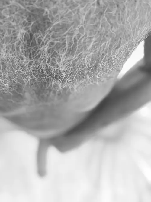 Find the stick in the forest