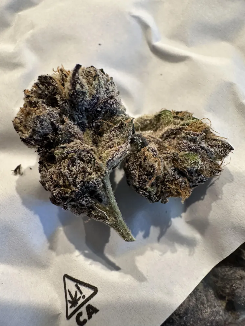 Great quality indoor dallas