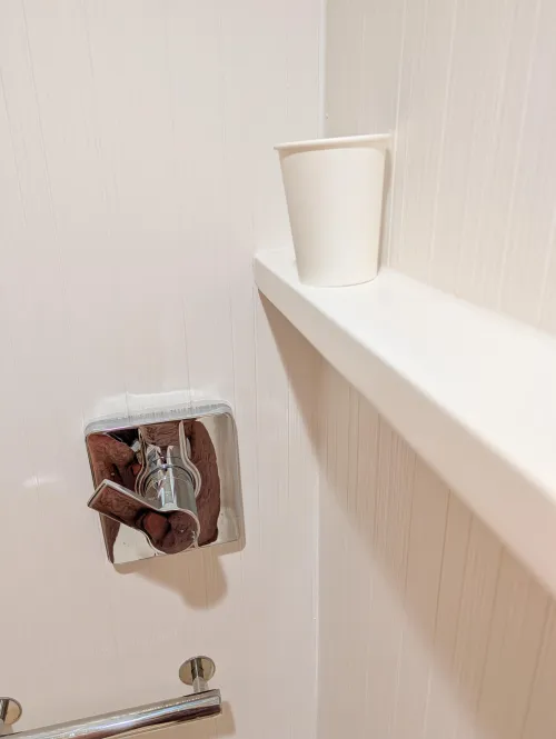 Hotel showers always have the best coffee shelves