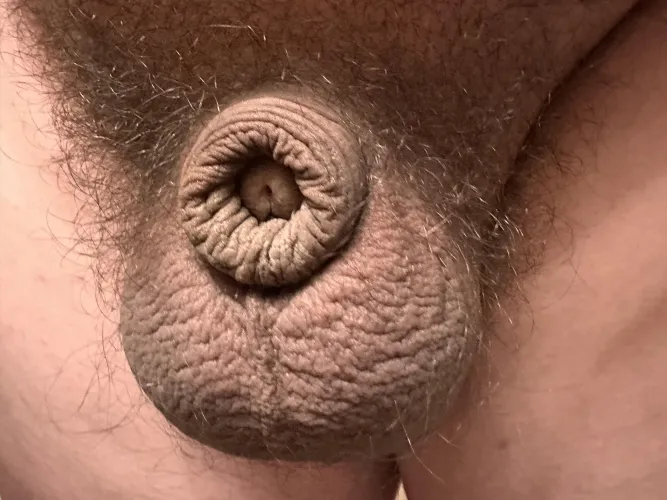 It’s been compared to a clit before…. What do you think? DMs are always welcomed!