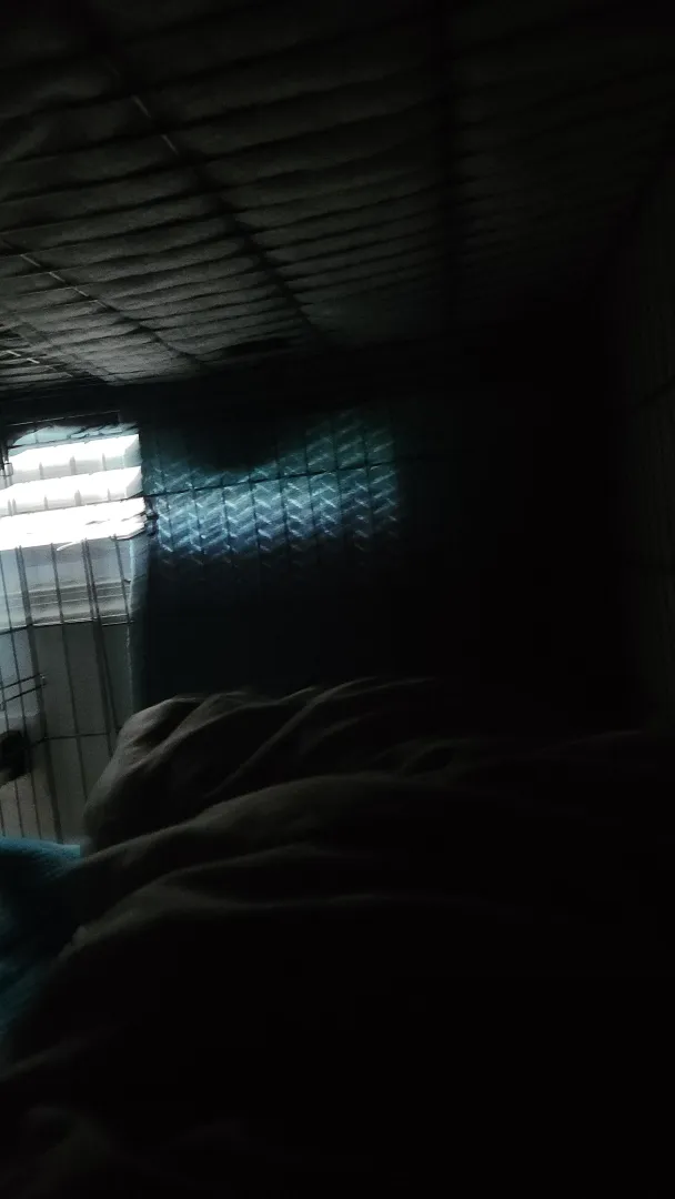 Morning fellow brats!