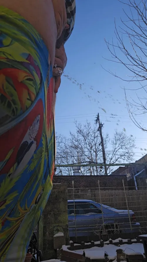 Pissing outside in the cool weather