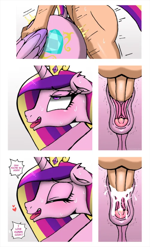 Princess Cadance cannot get enough of that human stuff  (TSUDashie)