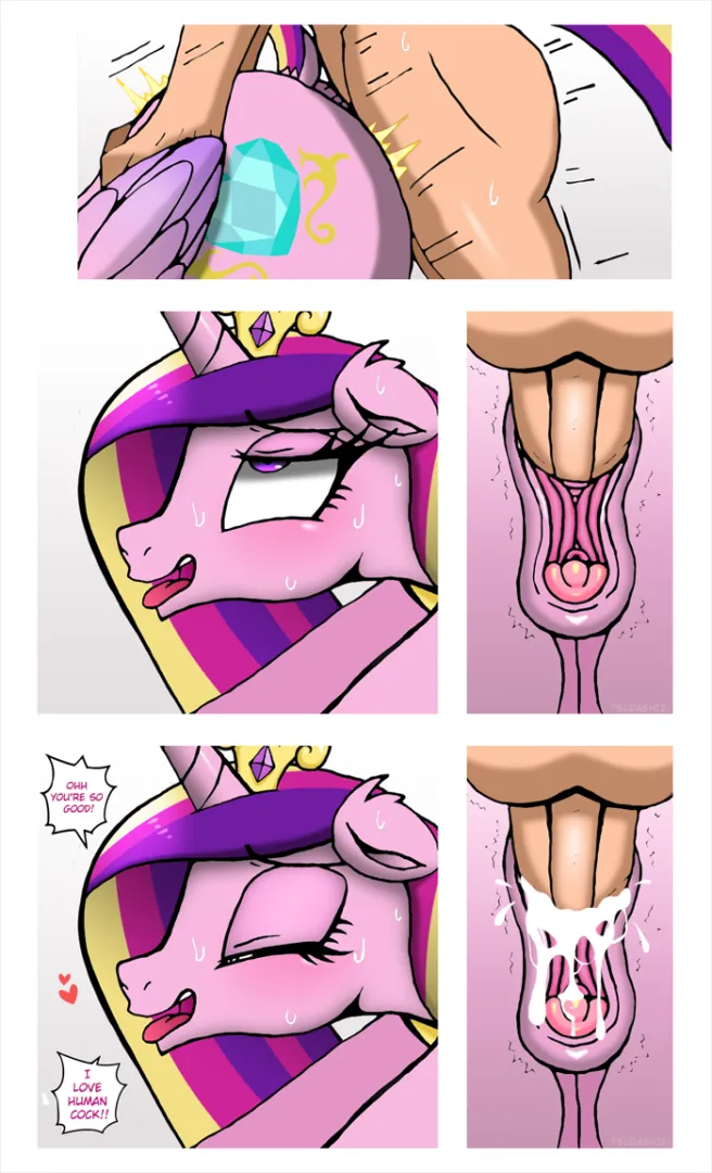 Princess Cadance cannot get enough of that human stuff  (TSUDashie)