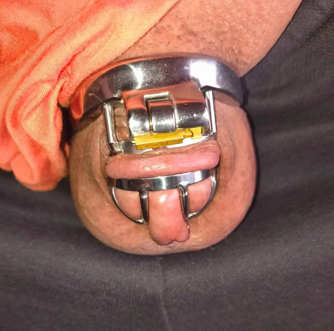 She had me out on the shorter cage for an unexpected weekend off from work ‍♂️