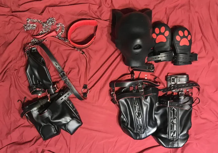 Showcasing some of the gear for my pets next visit