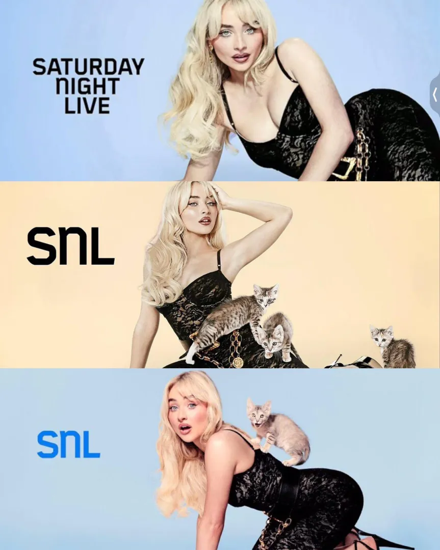 some snl bumpers