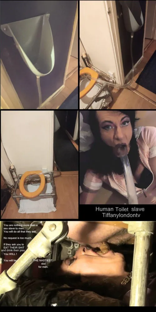 Tiffany tgirl in London UK - Human Toilet for Male feeders