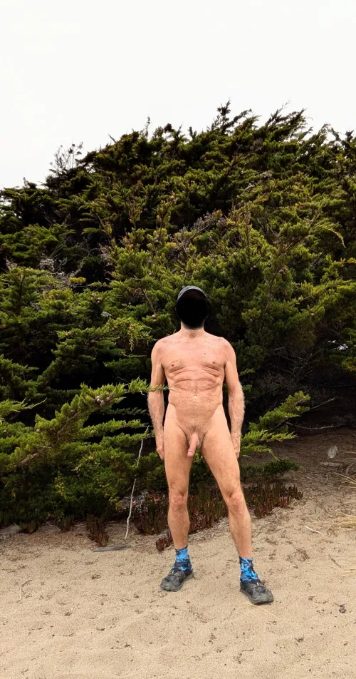 Tree Pose Tuesday: in the coastal juniper groves.