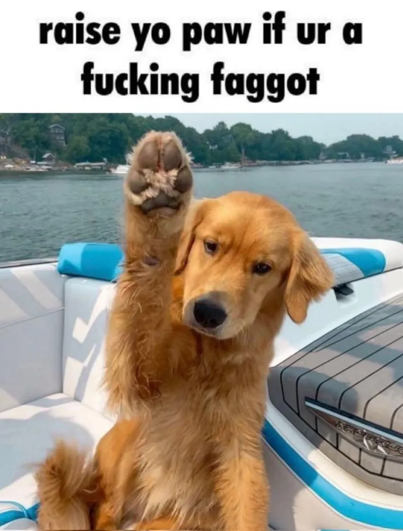 we all up woofing tn