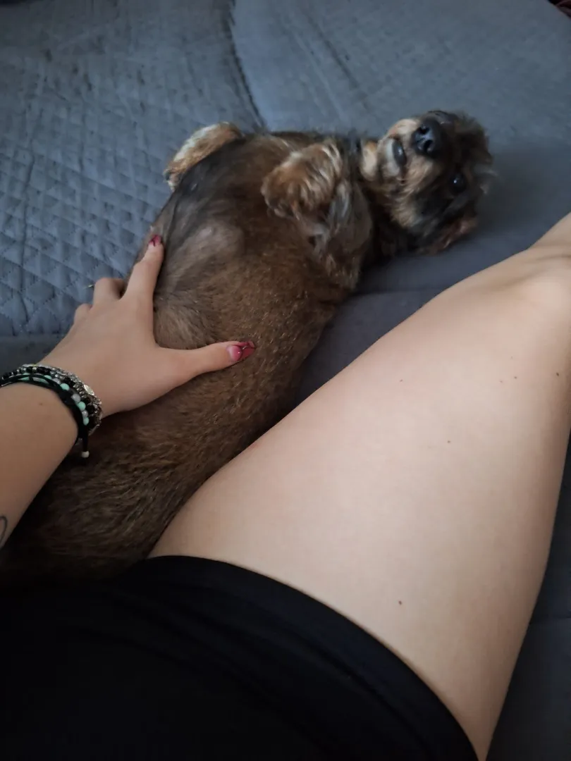 27F Leuven, bijna klaar met examens en wil stoom afblazen