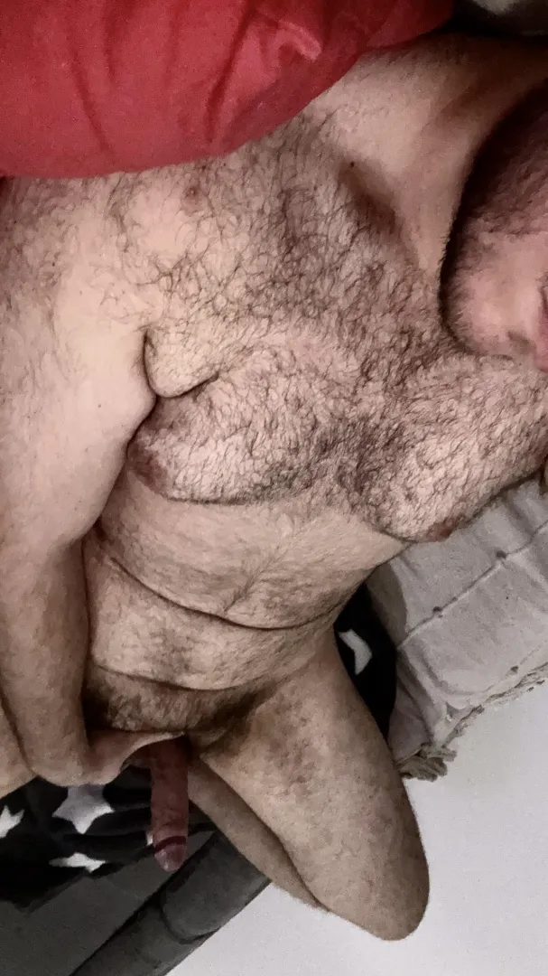 anyone fancy a 6’4” 250lbs big beefy hairy 19 yo bear? dms open