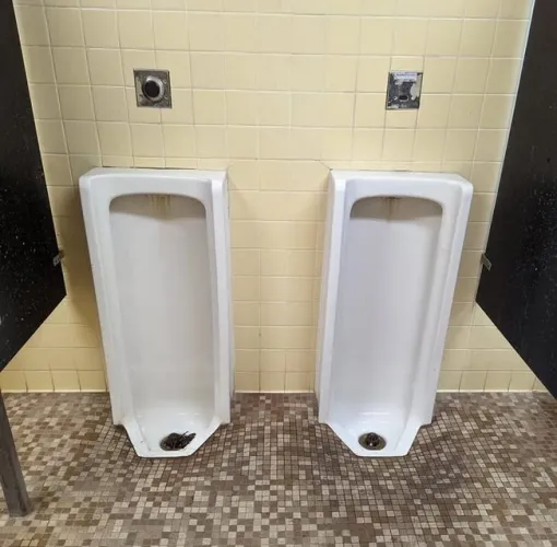 Dash Point State Park, Federal Way, Washington state