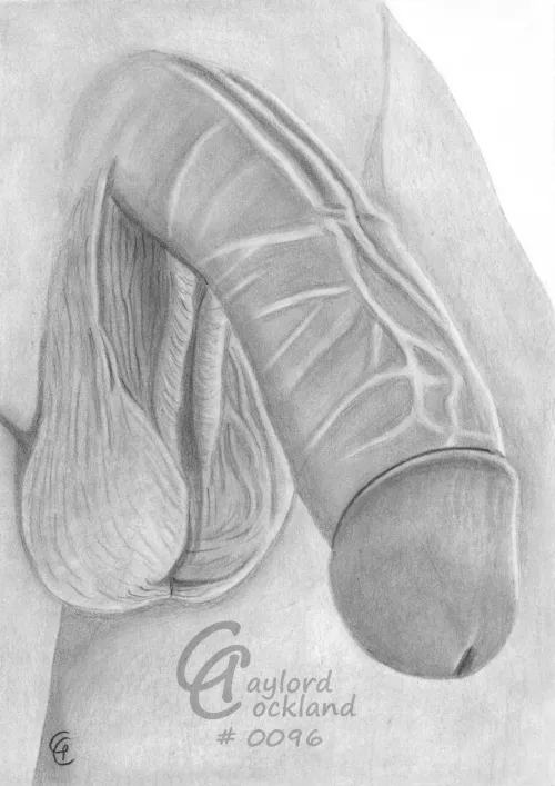 (#96) boner with open foreskin and prominent veins, drawn by me