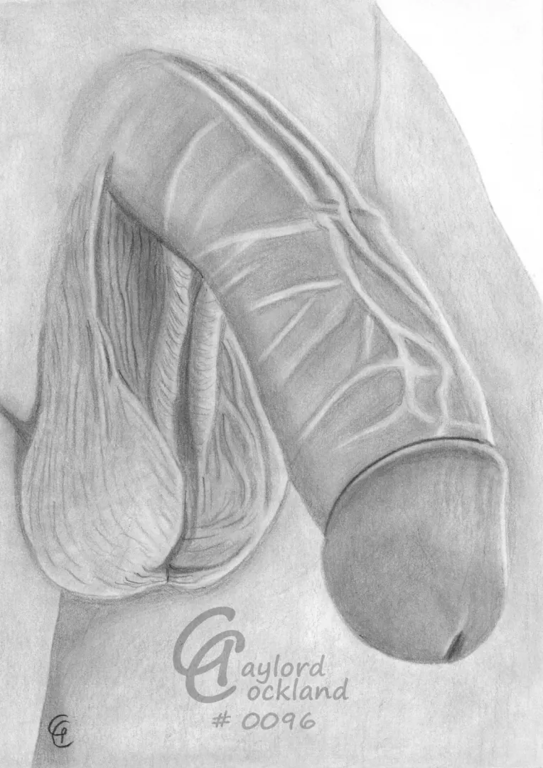 (#96) boner with open foreskin and prominent veins, drawn by me