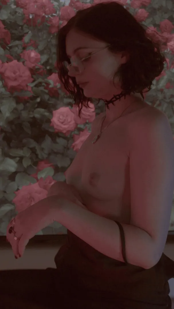 Cute and small no matter the angle