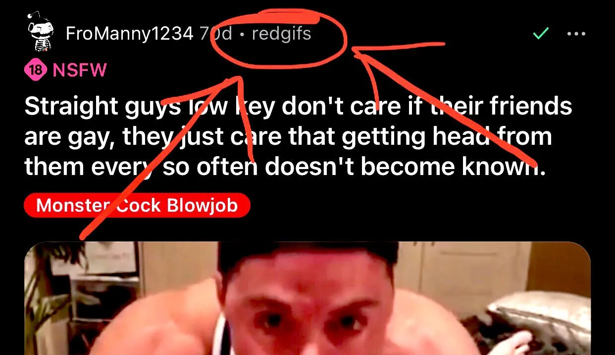 Just Letting You Guys Know: if a video is posted through an external Host/Publisher/Website, sometimes the audio won't play here... but it will play there if you click on the source/link credit next to the Redditor's username.