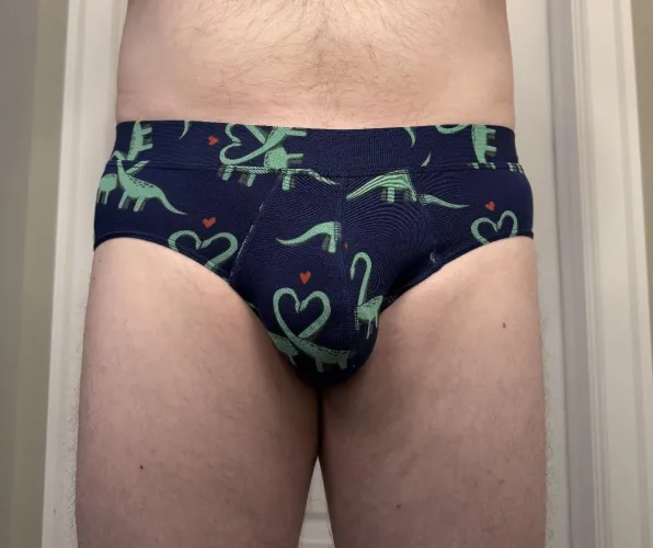 My Dino Briefs