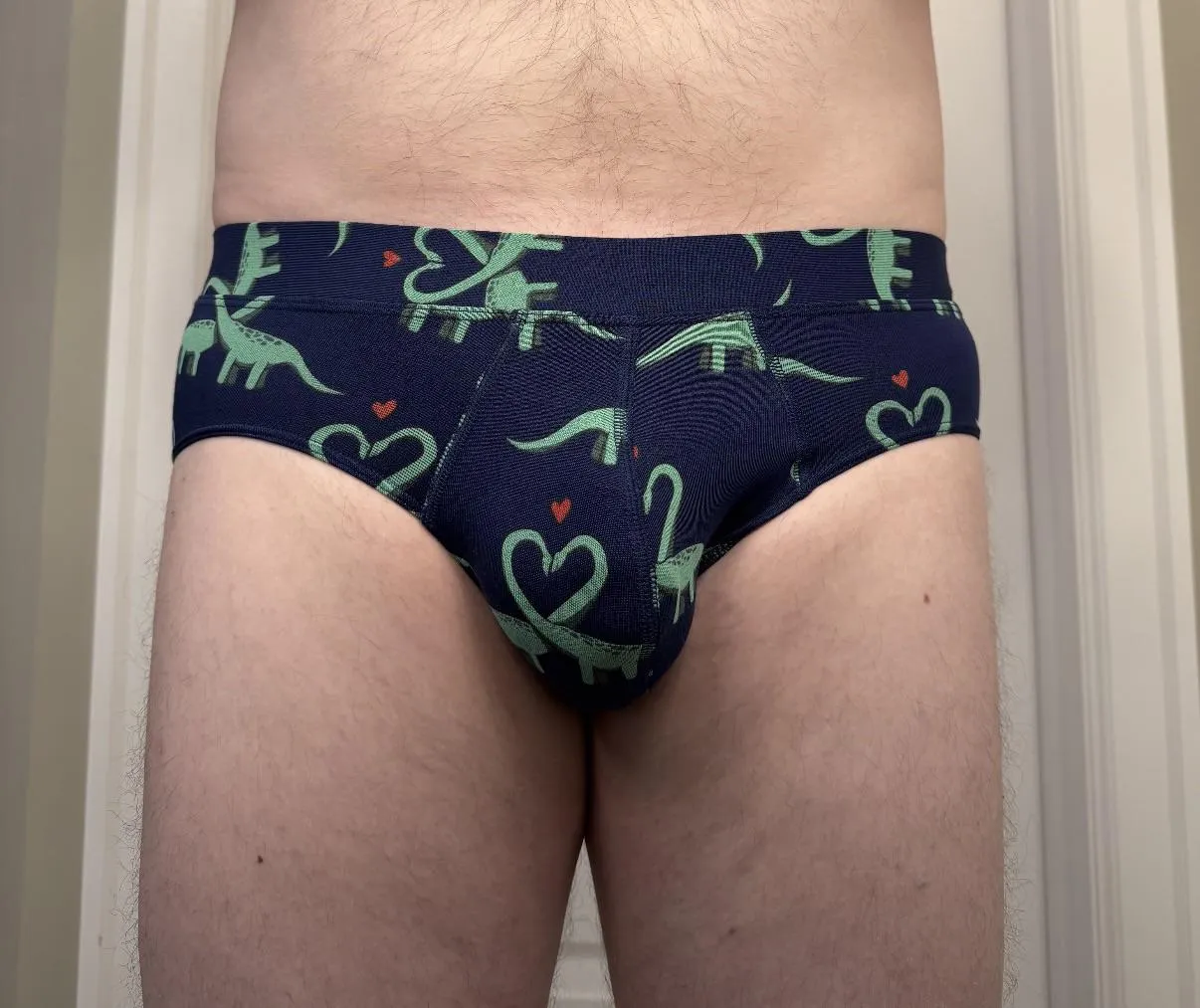 My Dino Briefs