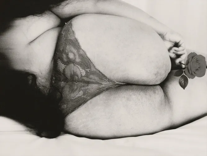 Sexy curves in full bloom