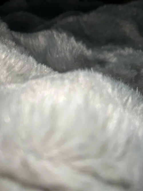 33 W Houston, looking for a bro to chat with who maybe wants to get off with each other.