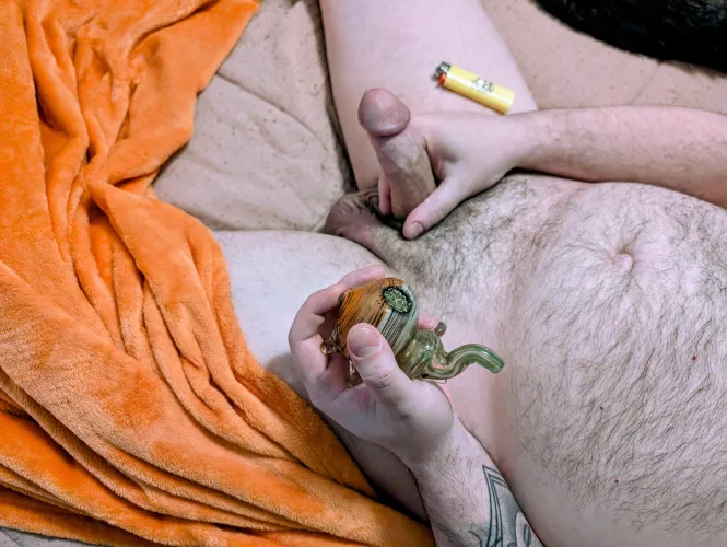 An elephant never forgets, so [M]y dick remembers everything