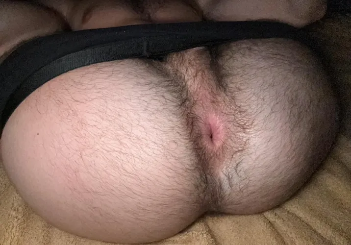 Built to be admired. Paid to be worshipped 